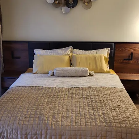 アパート Diamond Of Crown By Flat Mаnager バンスコ